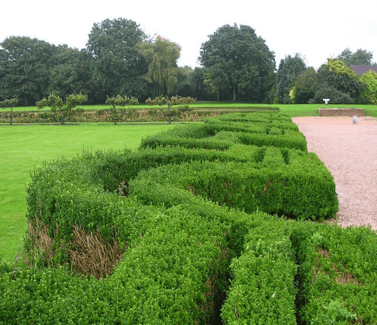 idee uw afscheiding | Haag & Heg