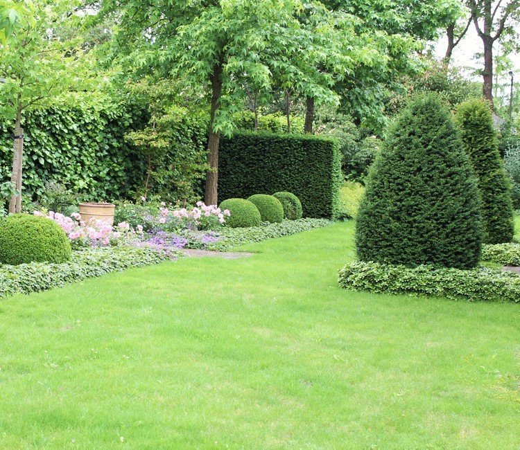 taxus_ideeen_voor_de_voortuin