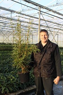 Bamboe Pot 100-125 cm Pot