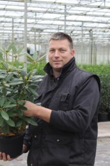 Rhododendron Catawbiense Boursalt Pot 40-50 cm Pot