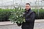 Rhododendron-Roseum-Pot-40-50